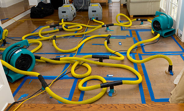Professional Water Damage Repair technician working in Bradford, ME